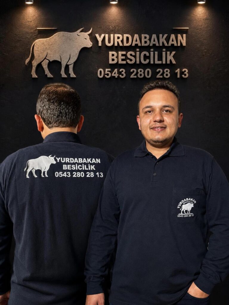 Özel Tasarım Polo Yaka Tişört
