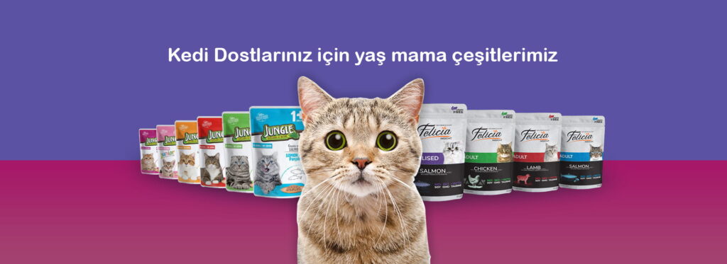 Dina Petshop