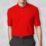 PT-569 Polo Yaka Tişört - Görsel 2